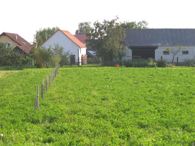 Troubelice 2006 100.jpg